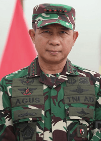 Panglima TNI